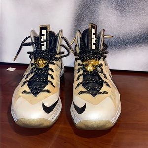 Nike Lebron 10 p.s Elite+
